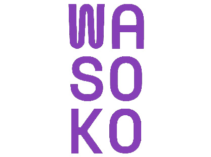 WASOKO COMPANY LIMITED